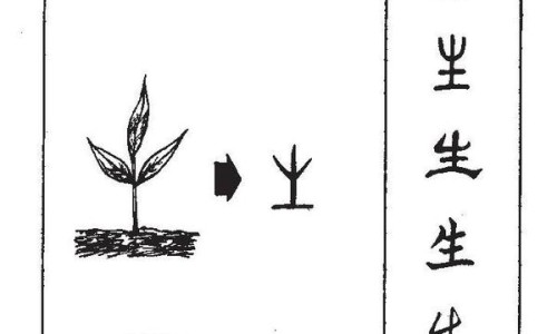 干葛根块的正确的吃法大全-干葛根块泡水正确方法、干葛根块泡水正确方法 -干葛根块的正确的吃法网